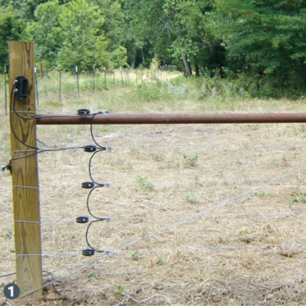 Electric fence Installation
